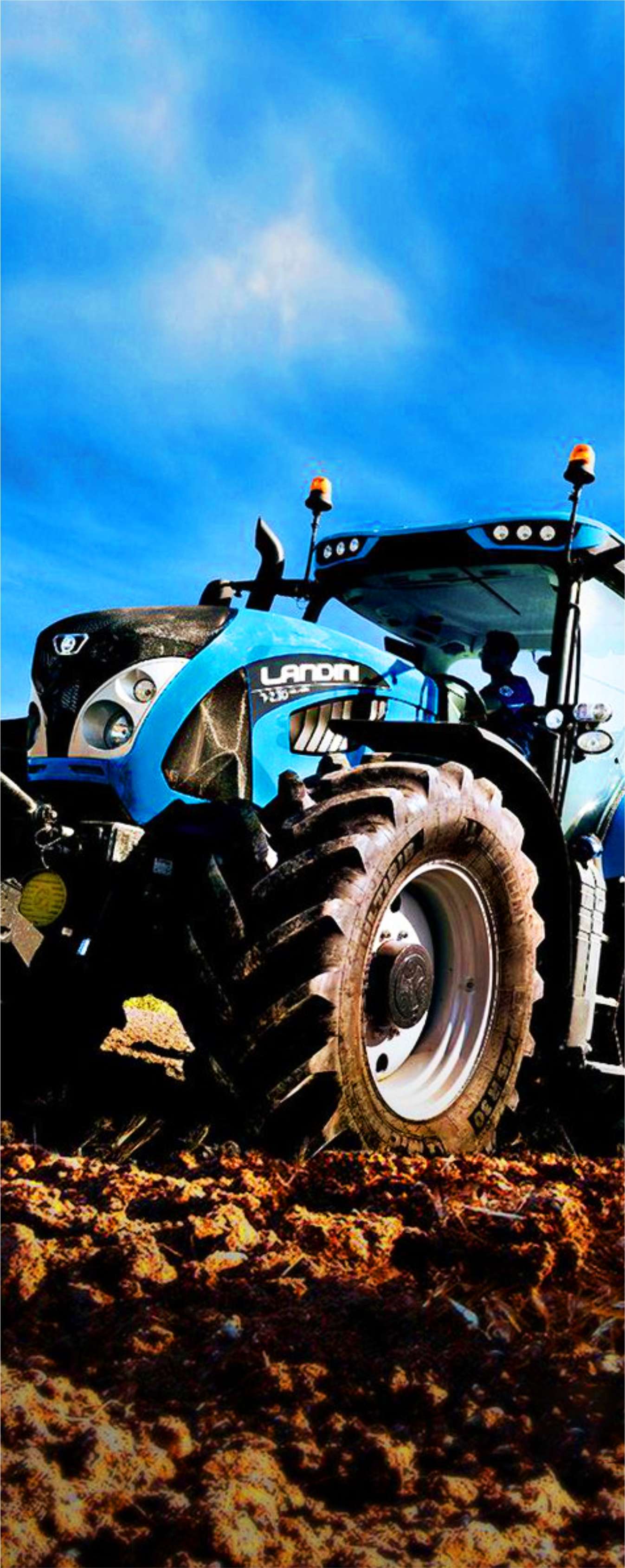Larger landini